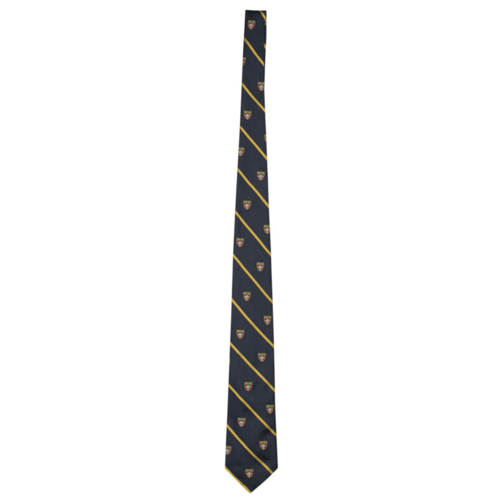 Sans titre (1000 x 1000 px) - 2026-08-06T184756.711 POLO RALPH LAUREN cravate en soie homme bleu – Image 1