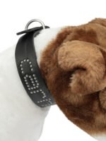 CARHARTT WIP collier pour chien noir – Image 2