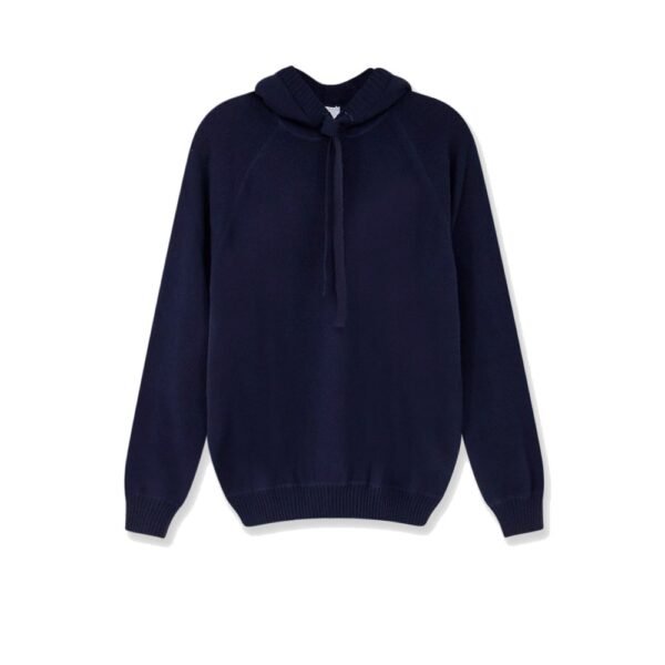 Alpha Studio Wool hoodie