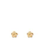 Bottega Veneta Brass earrings