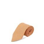 Ferragamo Sik tie with Owl print